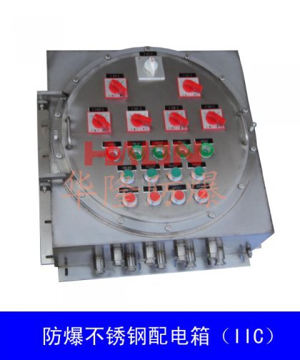防爆動力（照明）配電箱（IIC）